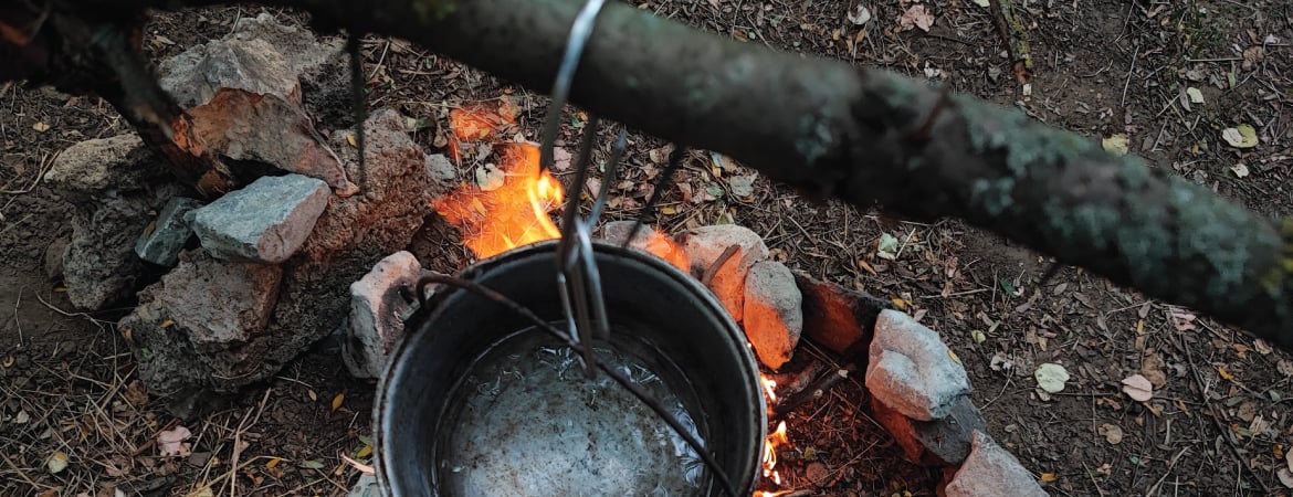 Banner categorie condimente